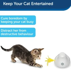 PetSafe® Peek-a-Bird elektronisk kattelegetøj