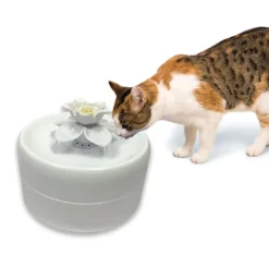 Pioneer Pet Magnolia Drikkefontæne
