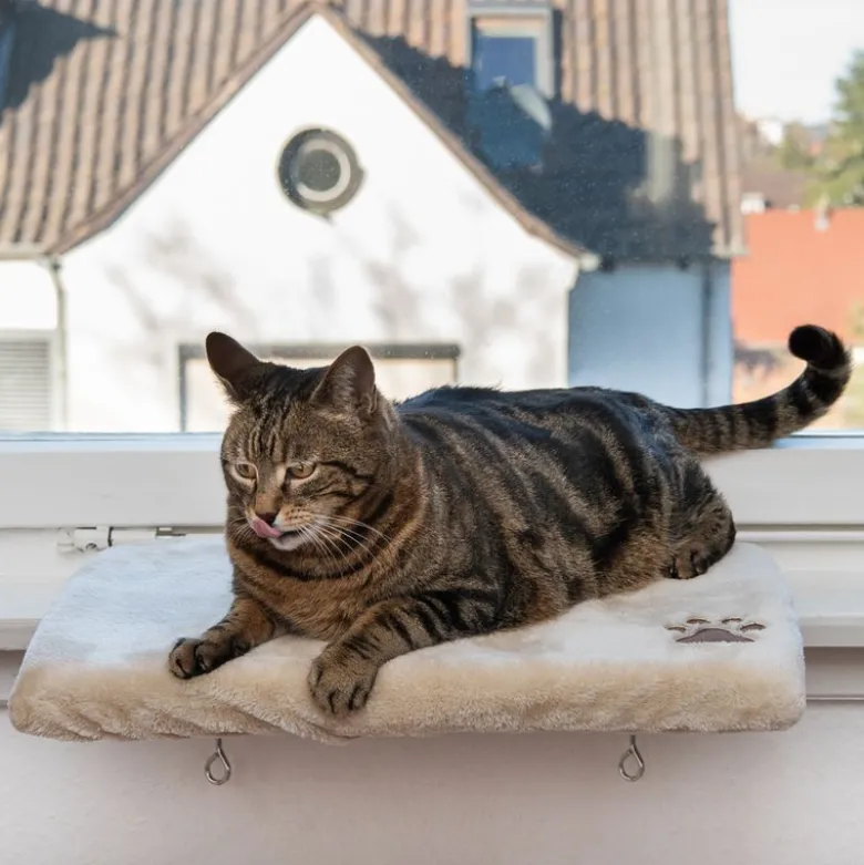 Plüschi kattepude til vindueskarmen