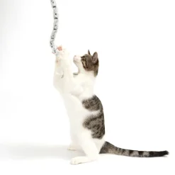 Plush Tail Drillepind