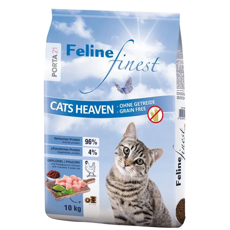 Porta 21 Feline Finest Cats Heaven