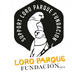 Prestige Loro Parque African Papagei Mix