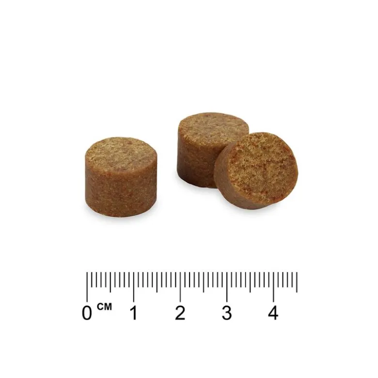 Probiotiske kosttilskud Chews - Concept for Life