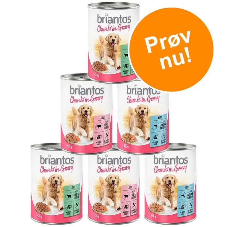 Prøvepakke! Briantos Bidder i Sauce