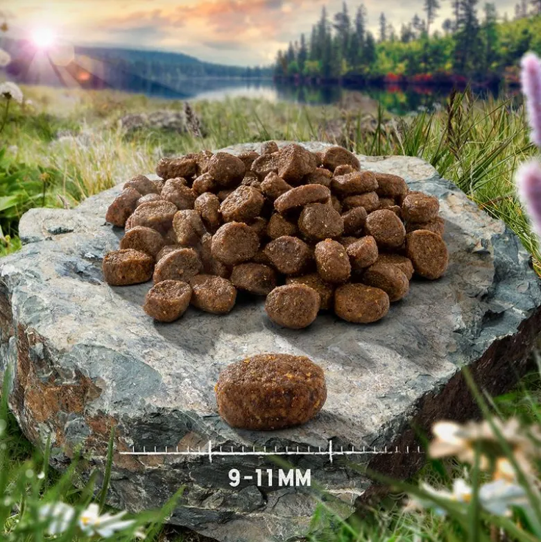 Prøvepakke: 2 eller 3 x 400 g Purizon Adult