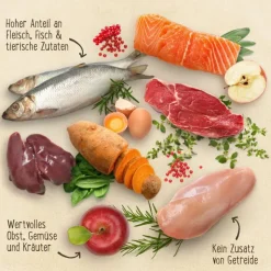 Prøvepakke: 2 eller 3 x 400 g Purizon Adult