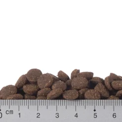 Prøvepakke: Purizon 400 g & Cosma Nature 6 x 70 g