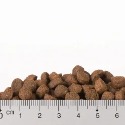 Prøvepakke: Purizon 400 g & Cosma Nature 6 x 70 g