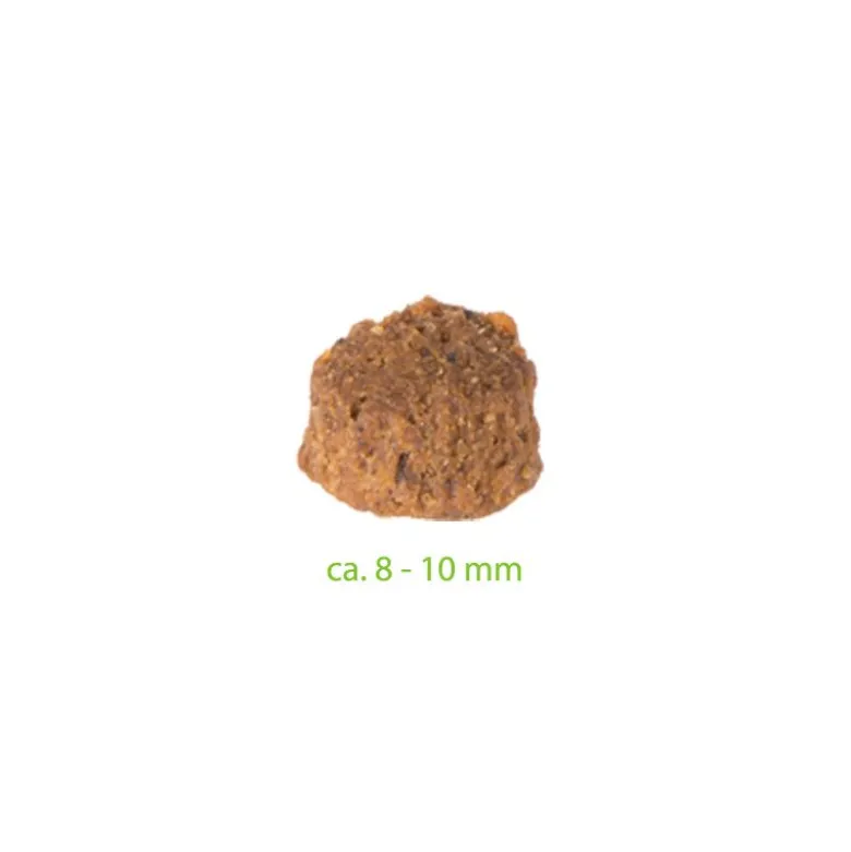 Prøvepakke: Purizon 400 g & Cosma Nature 6 x 70 g