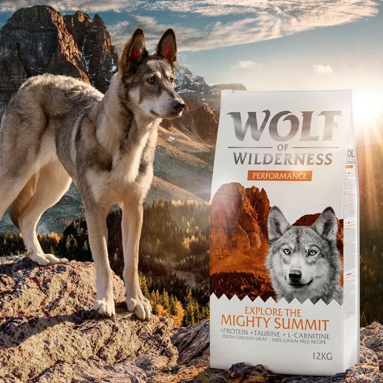 Prøvepakke: Wolf of Wilderness hundefoder