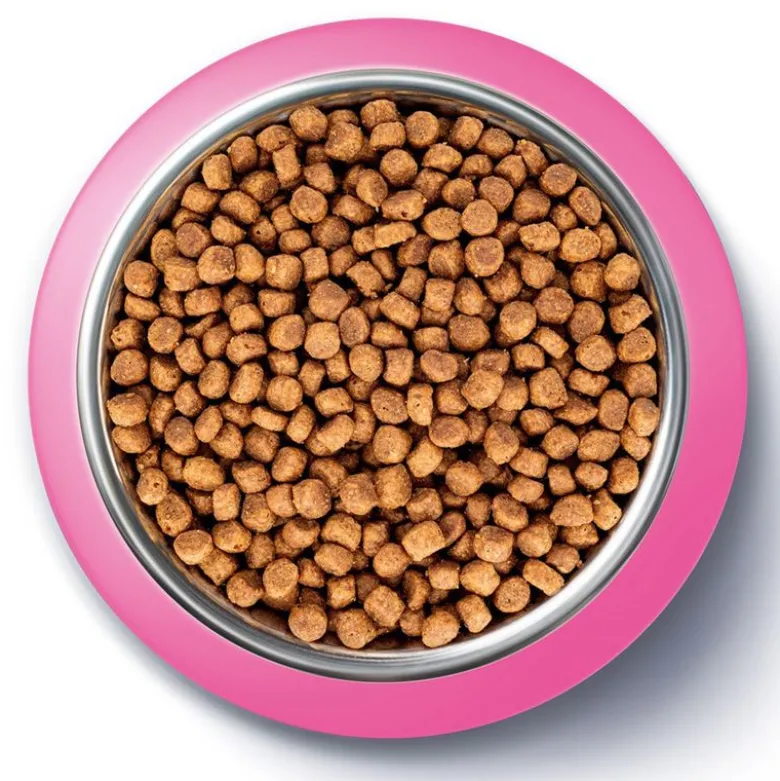 PURINA ONE Junior