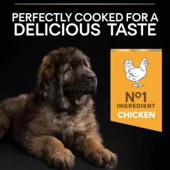 PURINA PRO PLAN Large Robust Puppy Healthy Start