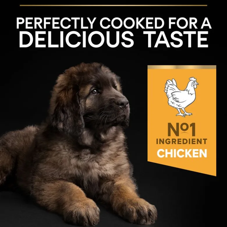 PURINA PRO PLAN Large Robust Puppy Healthy Start