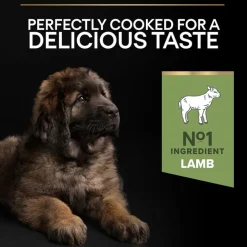 PURINA PRO PLAN Large Robust Puppy Sensitive Digestion Lam
