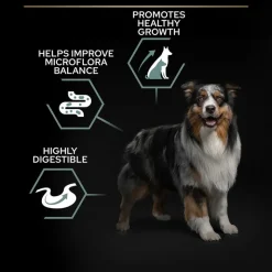 PURINA PRO PLAN Medium & Large Adult Sensitive Digestion kornfri