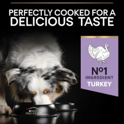 PURINA PRO PLAN Medium & Large Adult Sensitive Digestion kornfri