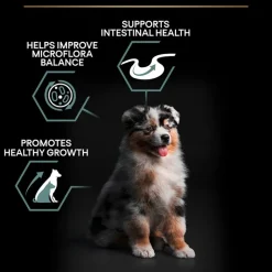 PURINA PRO PLAN Medium Puppy Lam & Ris Sensitive Digestion