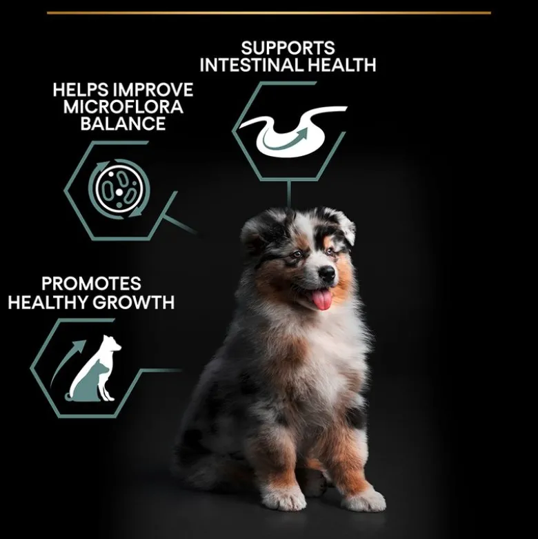 PURINA PRO PLAN Medium Puppy Lam & Ris Sensitive Digestion