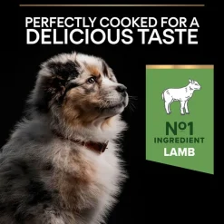 PURINA PRO PLAN Medium Puppy Lam & Ris Sensitive Digestion