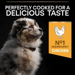 PURINA PRO PLAN Puppy Medium Healthy Start