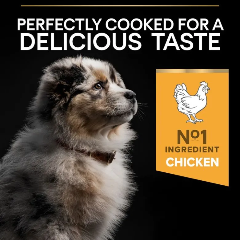 PURINA PRO PLAN Puppy Medium Healthy Start