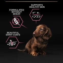PURINA PRO PLAN Puppy Small & Mini Sensitive Skin