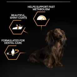 PURINA PRO PLAN Small & Mini Adult 9+ Age Defence