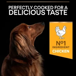 PURINA PRO PLAN Small & Mini Adult 9+ Age Defence