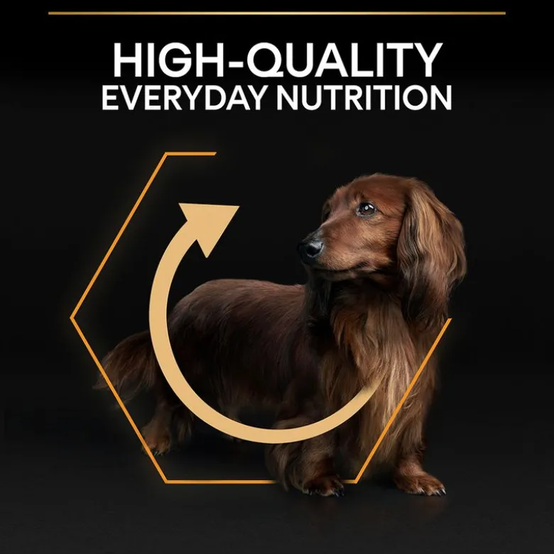 PURINA PRO PLAN Small & Mini Adult 9+ Age Defence