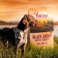 Purizon Black Angus-oksekød med kalkun Adult - kornfri