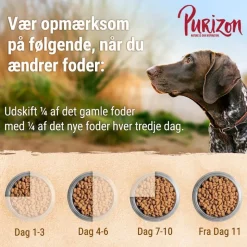 Purizon Fisk Adult - kornfri