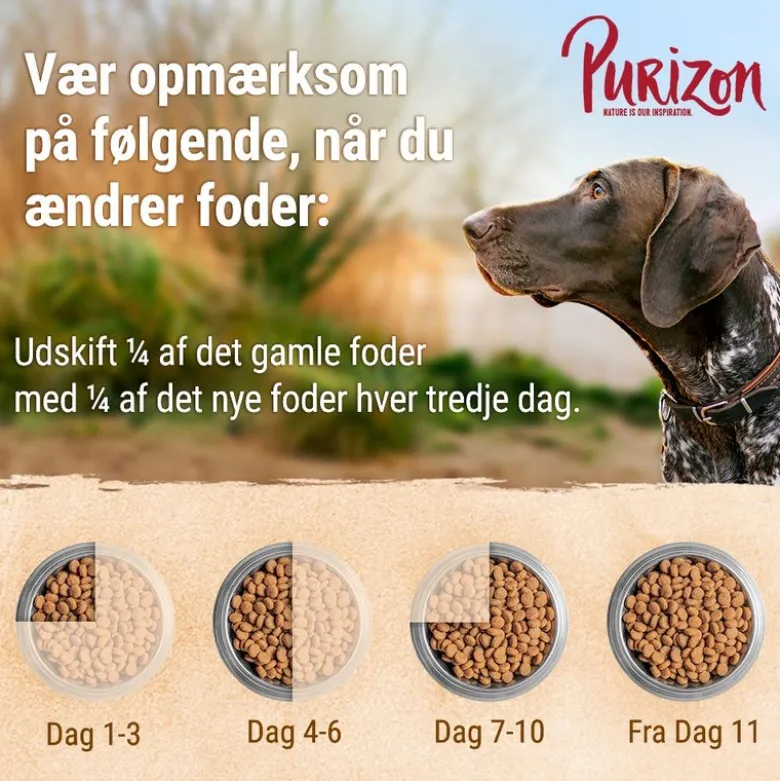 Purizon Fisk Adult - kornfri