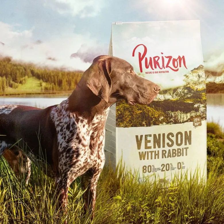 Purizon Wild med kanin Adult - kornfri