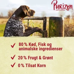 Purizon Wild med kanin Adult - kornfri