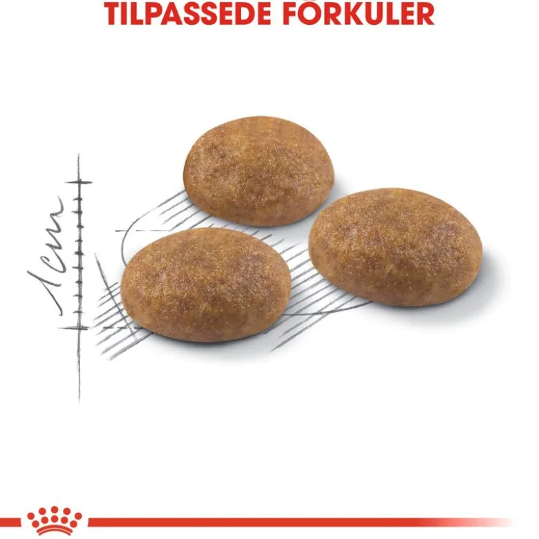 Royal Canin Active Life Outdoor