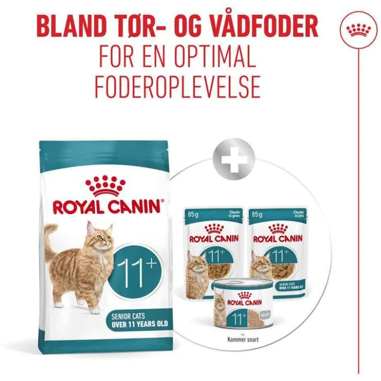Royal Canin Ageing 11+