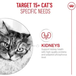 Royal Canin Ageing 15+