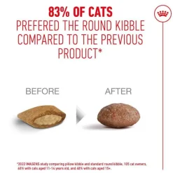 Royal Canin Ageing 15+