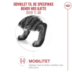 Royal Canin Ageing 11+ i gelé