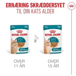 Royal Canin Ageing 11+ i gelé
