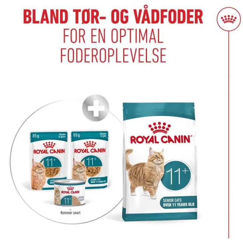 Royal Canin Ageing 11+ i sauce