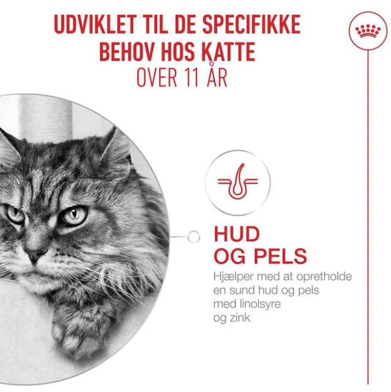 Royal Canin Ageing 11+ i sauce
