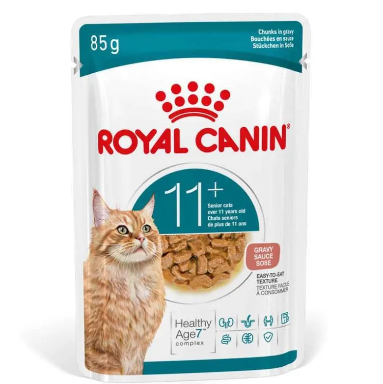 Royal Canin Ageing 11+ i sauce
