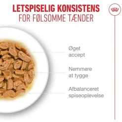 Royal Canin Ageing 15+ i sovs