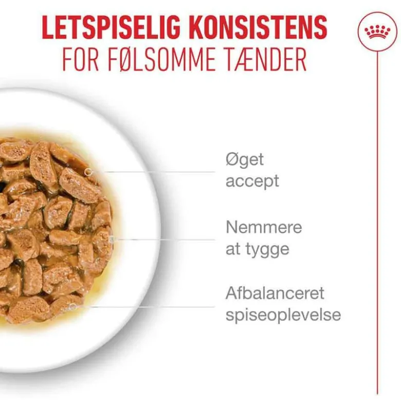 Royal Canin Ageing 15+ i sovs