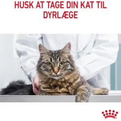 Royal Canin Appetite Control Care i gelé