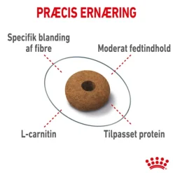 Royal Canin Appetite Control Care