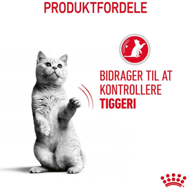 Royal Canin Appetite Control Care i sauce