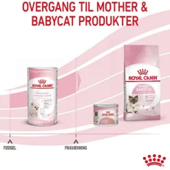 Royal Canin Babycat Milk