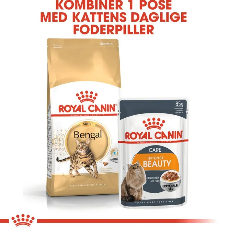 Royal Canin Bengal Adult